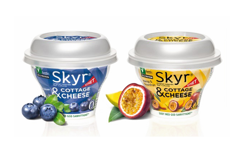 Skyr cottage cheese